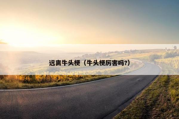 远离牛头梗（牛头梗厉害吗?）