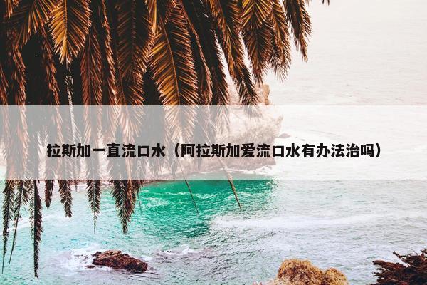 拉斯加一直流口水（阿拉斯加爱流口水有办法治吗）
