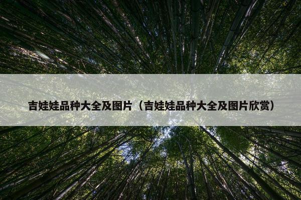 吉娃娃品种大全及图片（吉娃娃品种大全及图片欣赏）