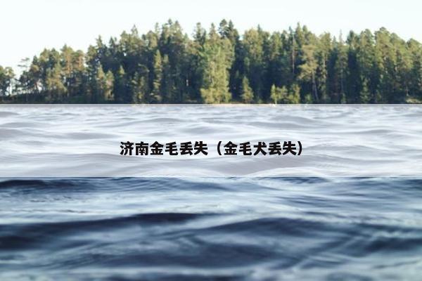 济南金毛丢失（金毛犬丢失）