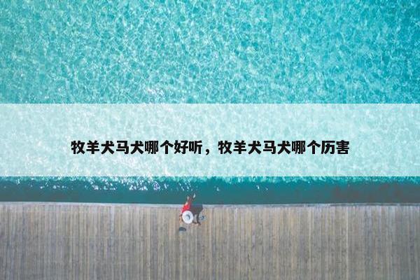 牧羊犬马犬哪个好听，牧羊犬马犬哪个历害