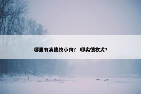 哪里有卖德牧小狗？ 哪卖德牧犬？