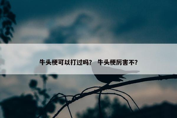 牛头梗可以打过吗？ 牛头梗厉害不？