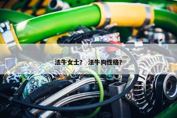 法牛女士？ 法牛狗性格？