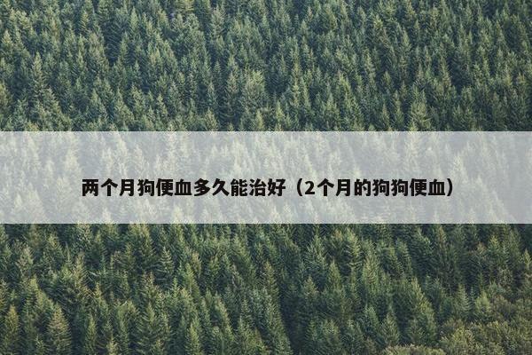 两个月狗便血多久能治好（2个月的狗狗便血）