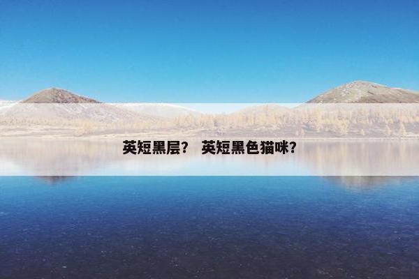 英短黑层？ 英短黑色猫咪？