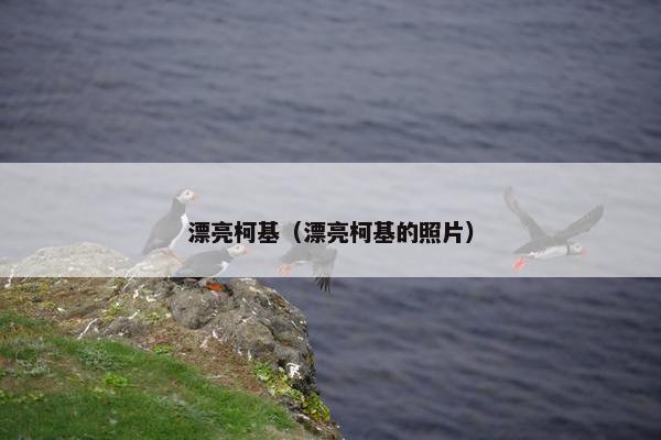 漂亮柯基（漂亮柯基的照片）