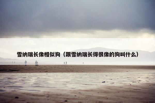 雪纳瑞长像相似狗（跟雪纳瑞长得很像的狗叫什么）