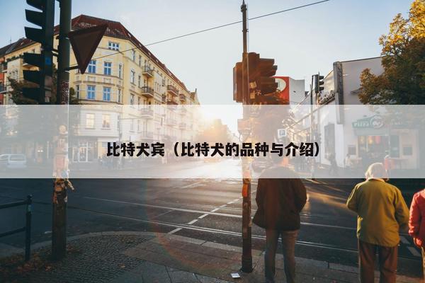 比特犬宾（比特犬的品种与介绍）