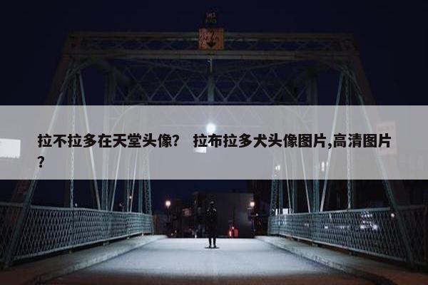 拉不拉多在天堂头像？ 拉布拉多犬头像图片,高清图片？
