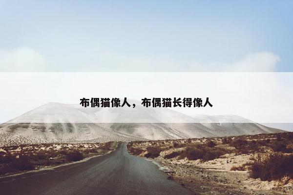 布偶猫像人，布偶猫长得像人