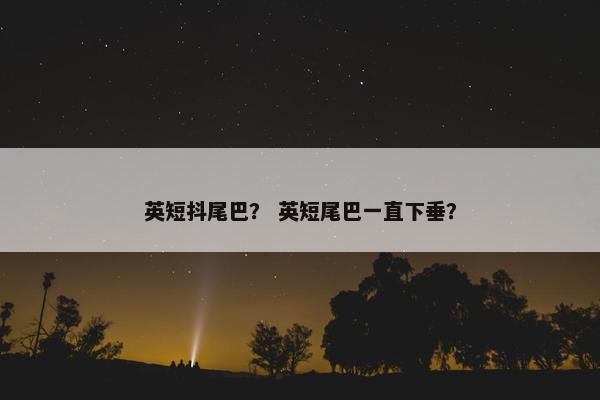 英短抖尾巴？ 英短尾巴一直下垂？