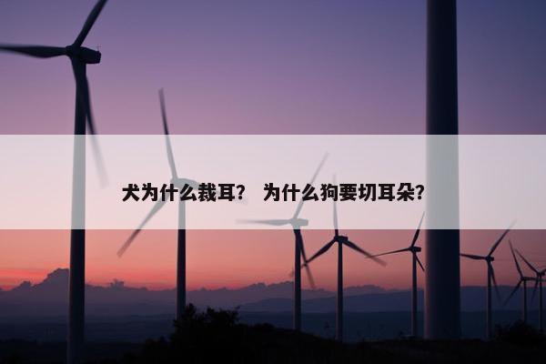 犬为什么裁耳？ 为什么狗要切耳朵？