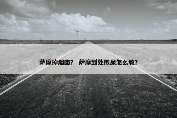 萨摩掉烟囱？ 萨摩到处撒尿怎么教？