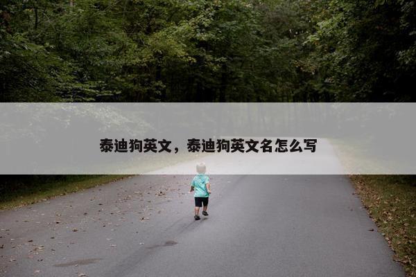 泰迪狗英文，泰迪狗英文名怎么写