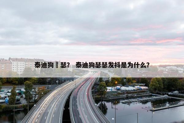 泰迪狗嘚瑟？ 泰迪狗瑟瑟发抖是为什么？