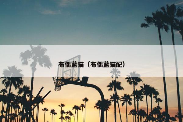 布偶蓝猫（布偶蓝猫配）