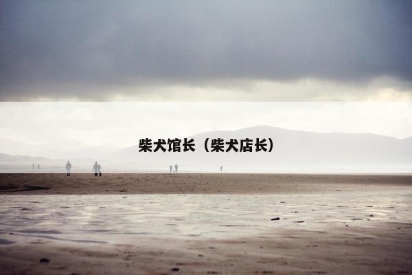 柴犬馆长（柴犬店长）