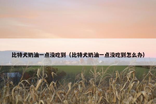 比特犬奶油一点没吃到（比特犬奶油一点没吃到怎么办）