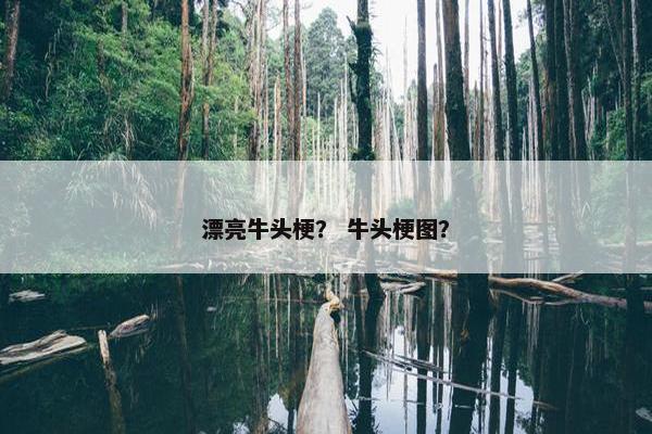 漂亮牛头梗？ 牛头梗图？