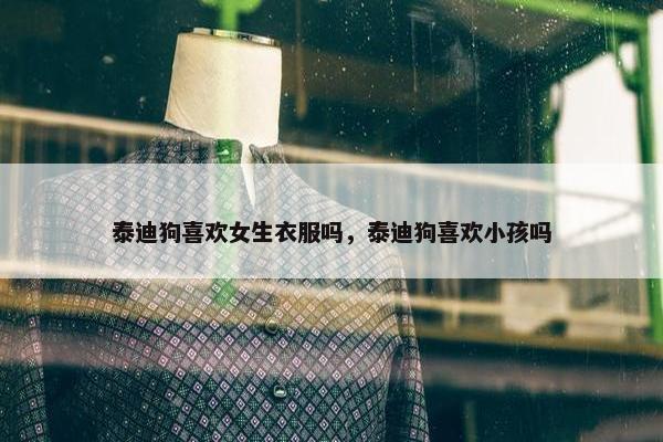 泰迪狗喜欢女生衣服吗，泰迪狗喜欢小孩吗
