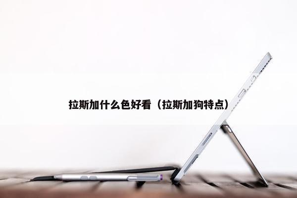 拉斯加什么色好看（拉斯加狗特点）