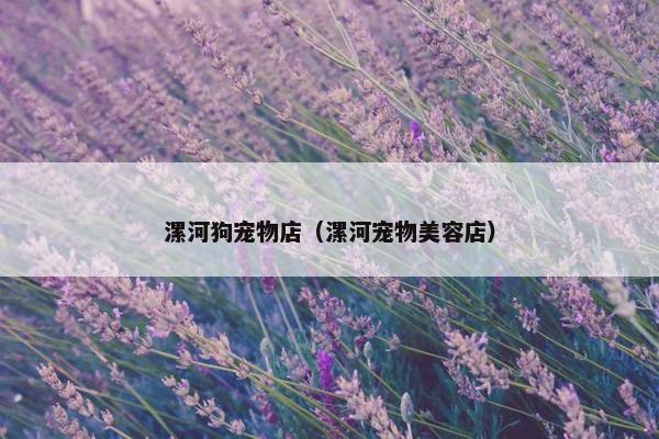 漯河狗宠物店（漯河宠物美容店）