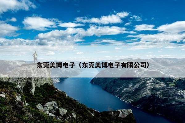 东莞美博电子（东莞美博电子有限公司）