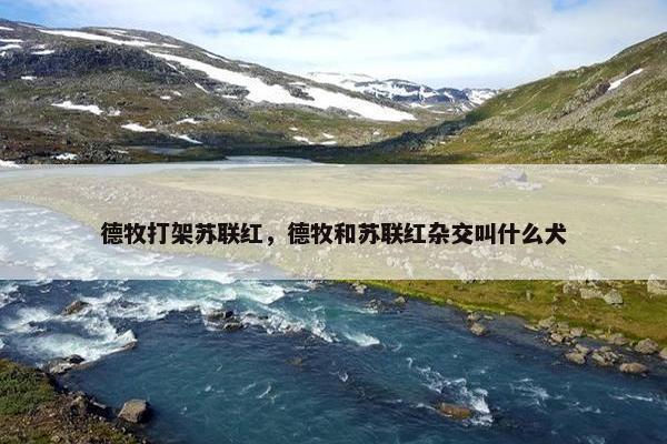 德牧打架苏联红，德牧和苏联红杂交叫什么犬