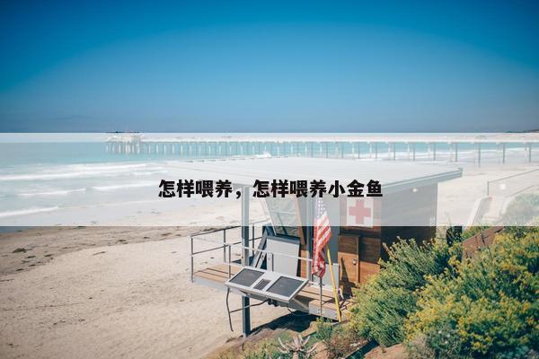 怎样喂养，怎样喂养小金鱼