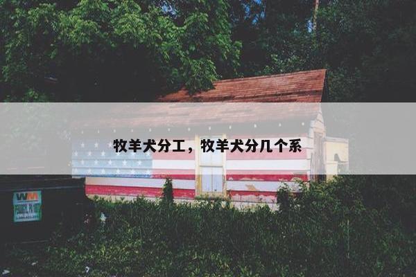 牧羊犬分工，牧羊犬分几个系