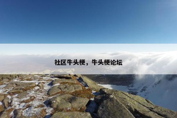 社区牛头梗，牛头梗论坛