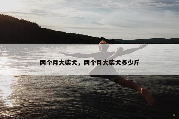 两个月大柴犬，两个月大柴犬多少斤