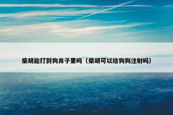 柴胡能打到狗鼻子里吗（柴胡可以给狗狗注射吗）