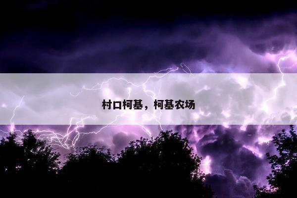 村口柯基，柯基农场