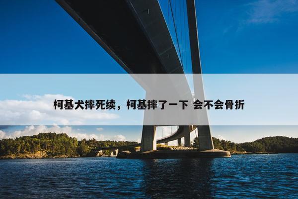 柯基犬摔死续，柯基摔了一下 会不会骨折