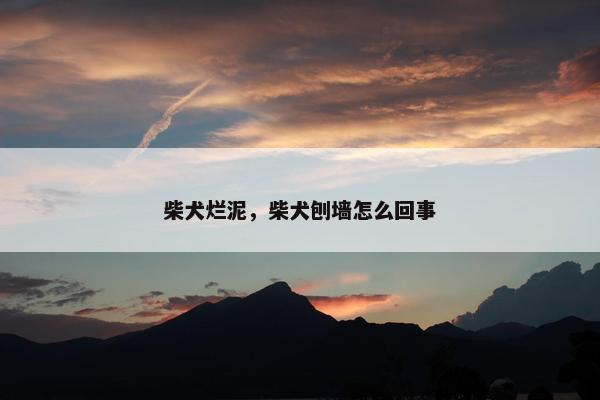 柴犬烂泥，柴犬刨墙怎么回事