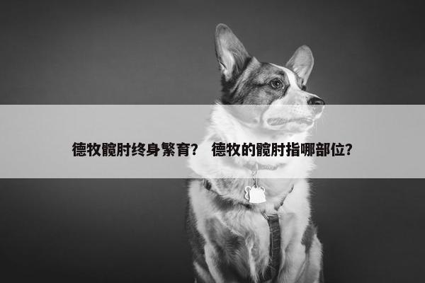 德牧髋肘终身繁育？ 德牧的髋肘指哪部位？