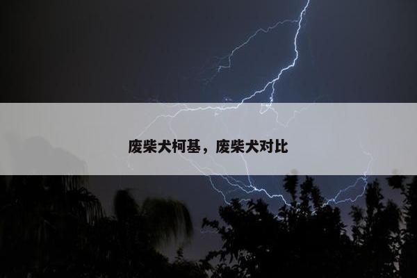 废柴犬柯基，废柴犬对比