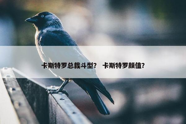 卡斯特罗总裁斗型？ 卡斯特罗颜值？