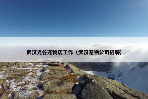 武汉光谷宠物店工作（武汉宠物公司招聘）