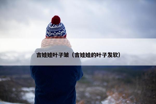 吉娃娃叶子皱（吉娃娃的叶子发软）