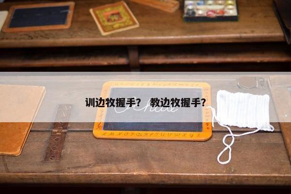 训边牧握手？ 教边牧握手？