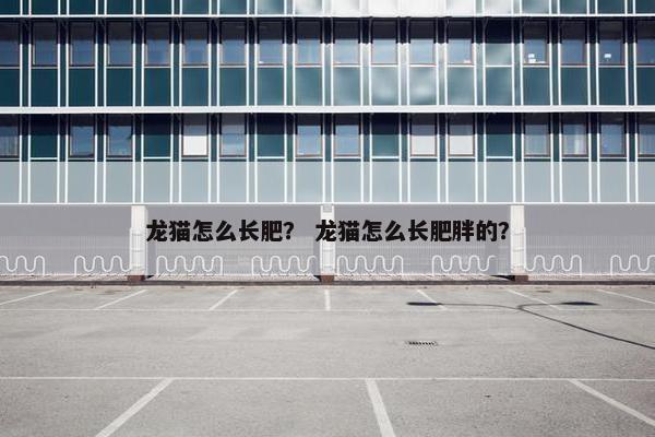 龙猫怎么长肥？ 龙猫怎么长肥胖的？