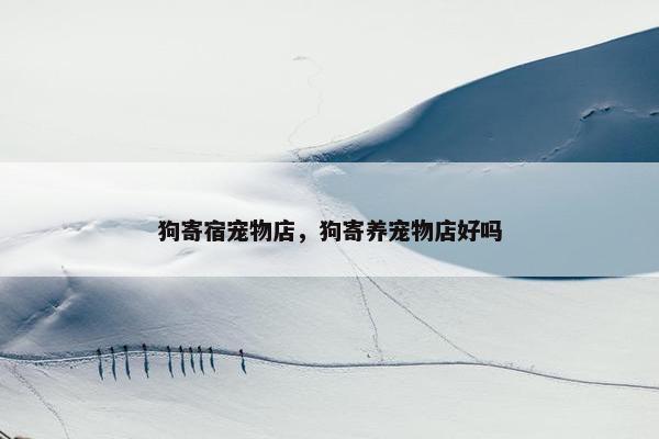 狗寄宿宠物店，狗寄养宠物店好吗