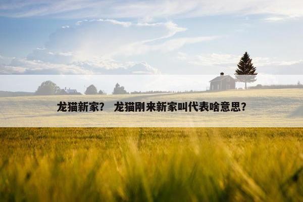 龙猫新家？ 龙猫刚来新家叫代表啥意思？