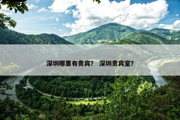 深圳哪里有贵宾？ 深圳贵宾室？