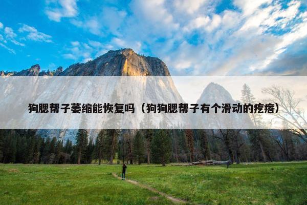 狗腮帮子萎缩能恢复吗（狗狗腮帮子有个滑动的疙瘩）