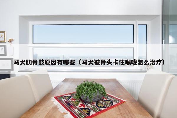 马犬肋骨鼓原因有哪些（马犬被骨头卡住喉咙怎么治疗）