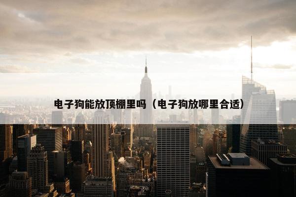 电子狗能放顶棚里吗（电子狗放哪里合适）